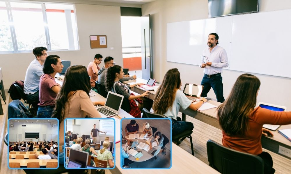 Que es una malla curricular: Definición y Elementos Clave [2025]